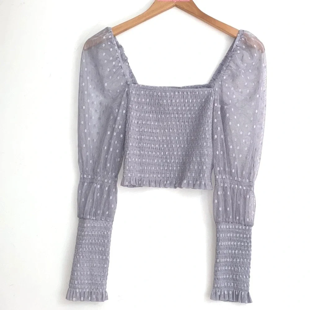 (A7) Free People Grey‎ Mesh Smocked Long Sleeve Crop Top, Size Small, NWT
